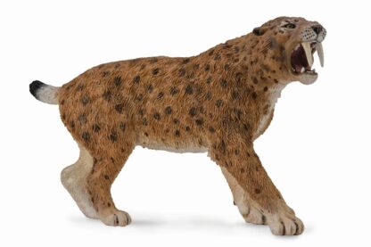 Smilodon Dinosaur Model (Sabre Tooth Tiger) by CollectA 88715