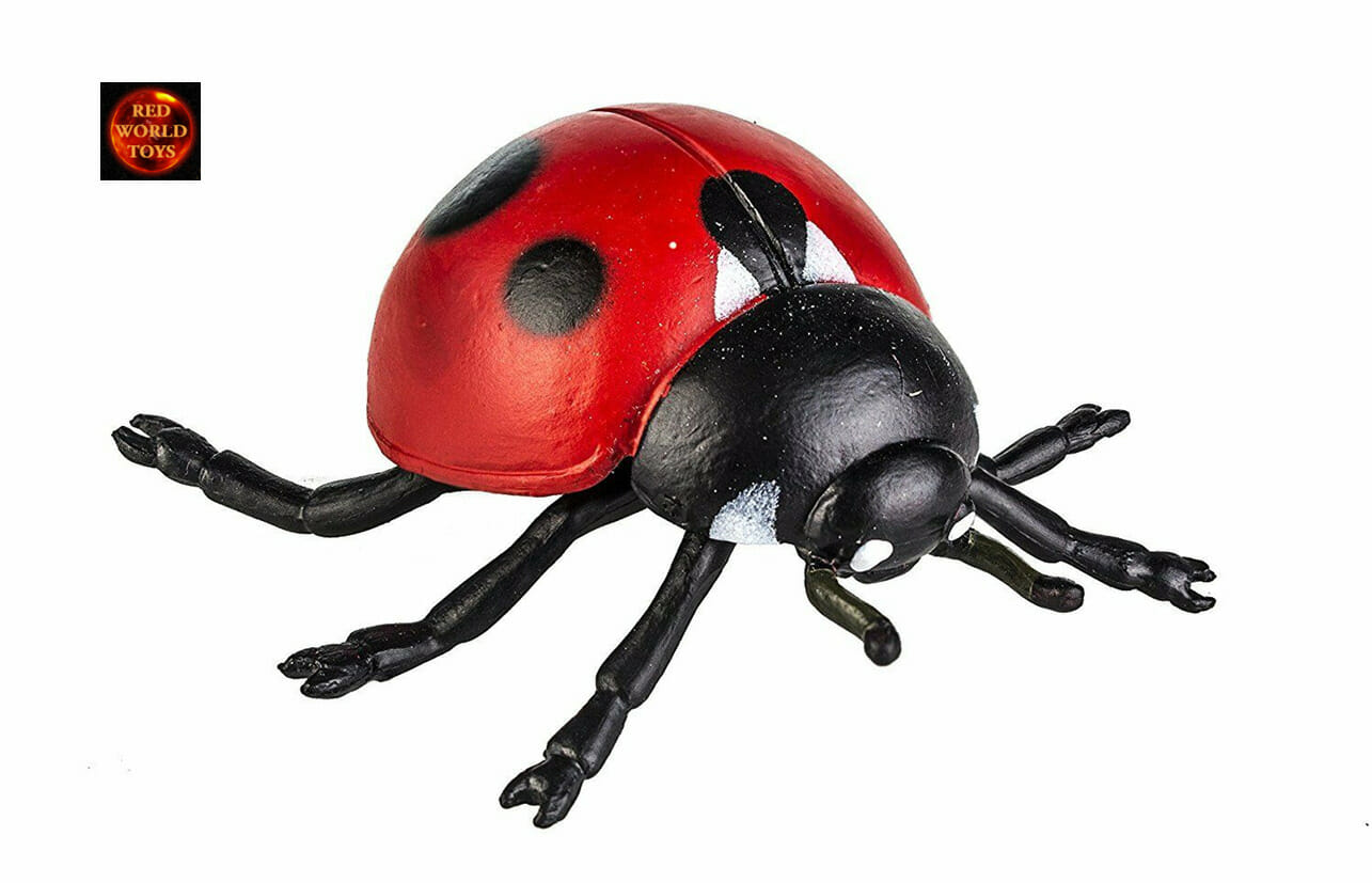 Safari 5 X Mini Ladybird Juguete de plástico sólido Insectos Animales Ladybug Bug Nuevo 